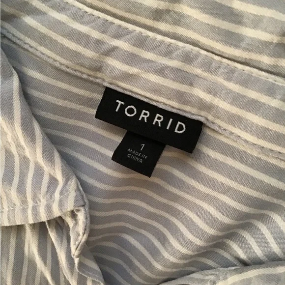 Torrid Blue Striped Embroidered Button Down Shirt - Picture 7 of 9